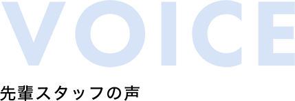 先輩スタッフの声